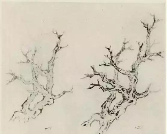 怎么画树最简单而且还最好看,怎么画树才更真实