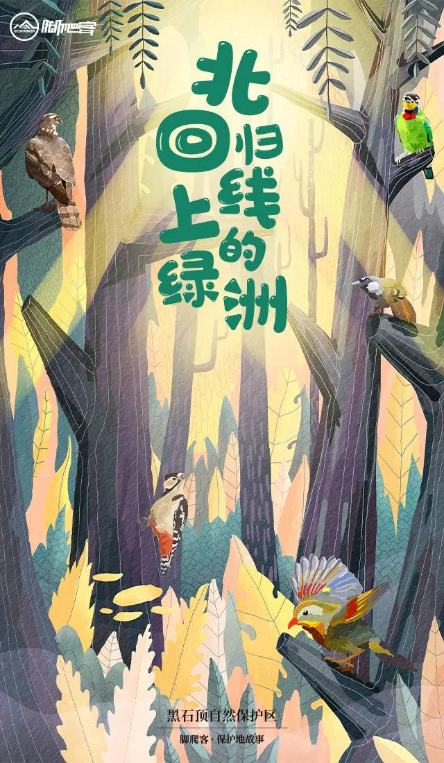 封开县黑石顶原始森林保护区,广东封开黑石顶北回归线上的绿洲