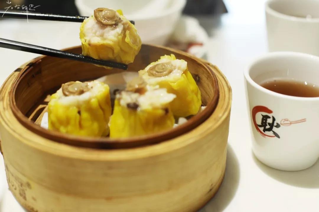 澳门旅游哪种交通工具最便宜,澳门出行实用攻略