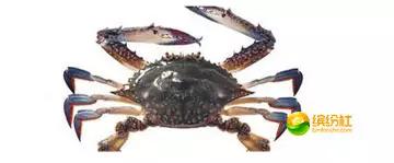 舟山海鲜攻略2天3晚吃什么,舟山海鲜代加工攻略