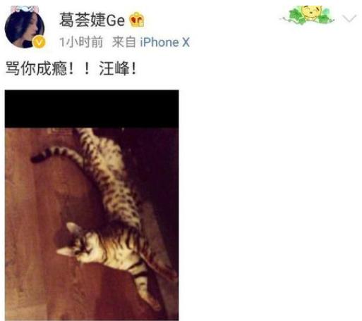 汪峰的情史简介,汪峰的四次婚史