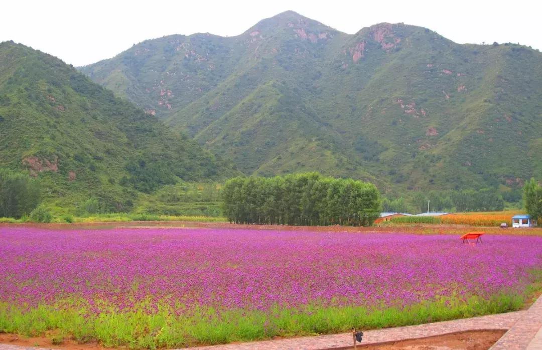 清明去哪儿玩|盘点那些值得打卡的北京周边小众景点！