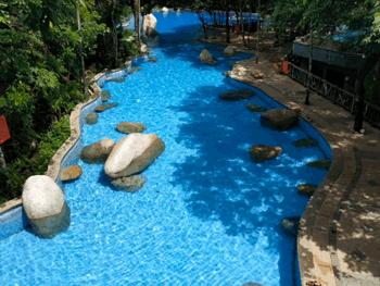 金秋多彩季，春晖幼儿园雨林仙境一日游