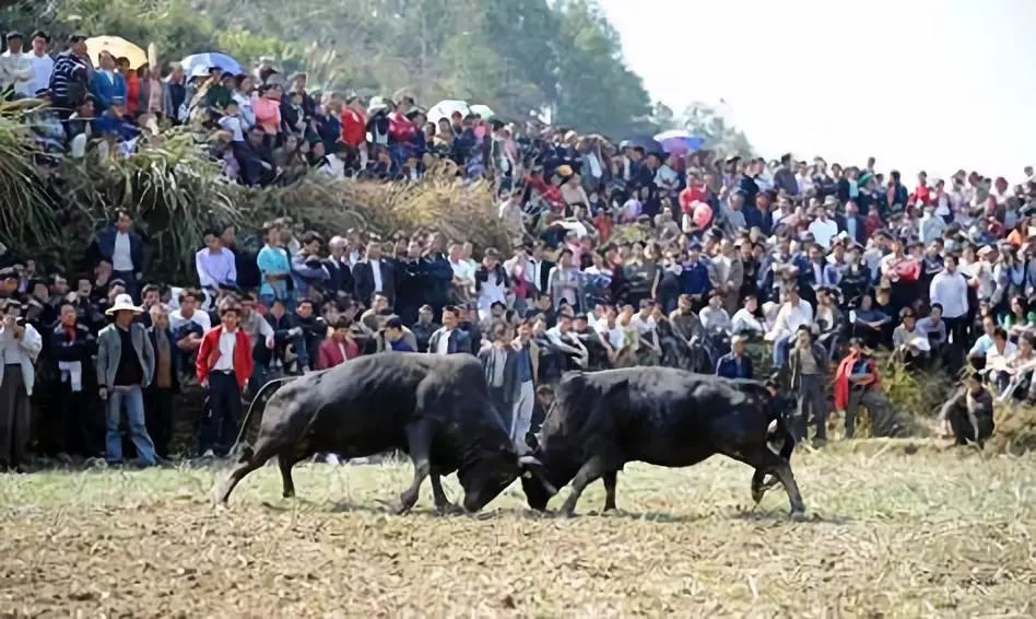 贵州黔东南千户苗寨,贵州黔东南苗寨