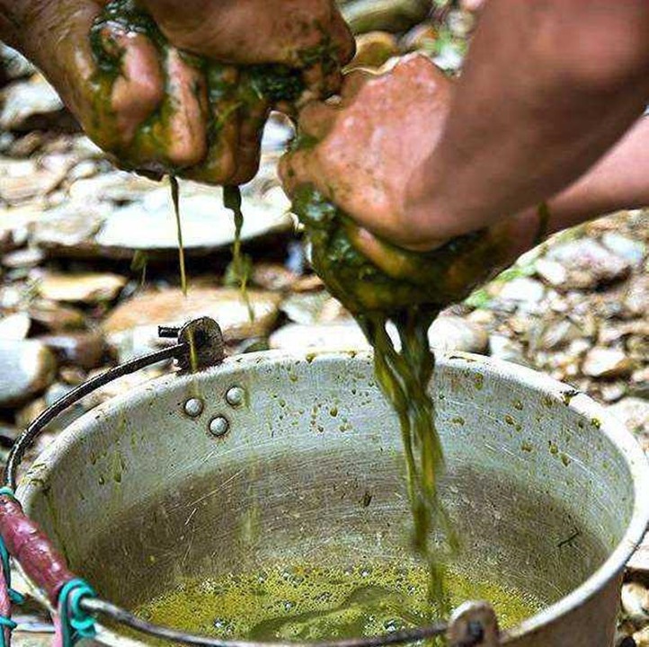 猫为什么不能吃太多肉,为什么中国人几乎什么都敢吃