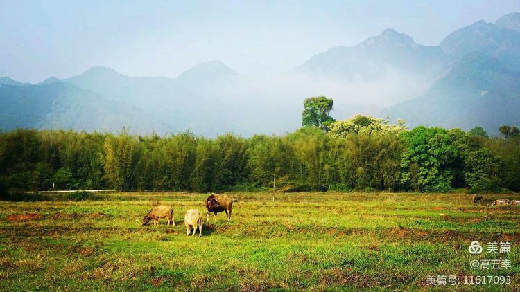 高五幸：“双代店”（小卖部）的记忆（随笔）