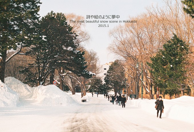 第一次去日本旅游最佳路线图,第一次日本旅游走什么路线