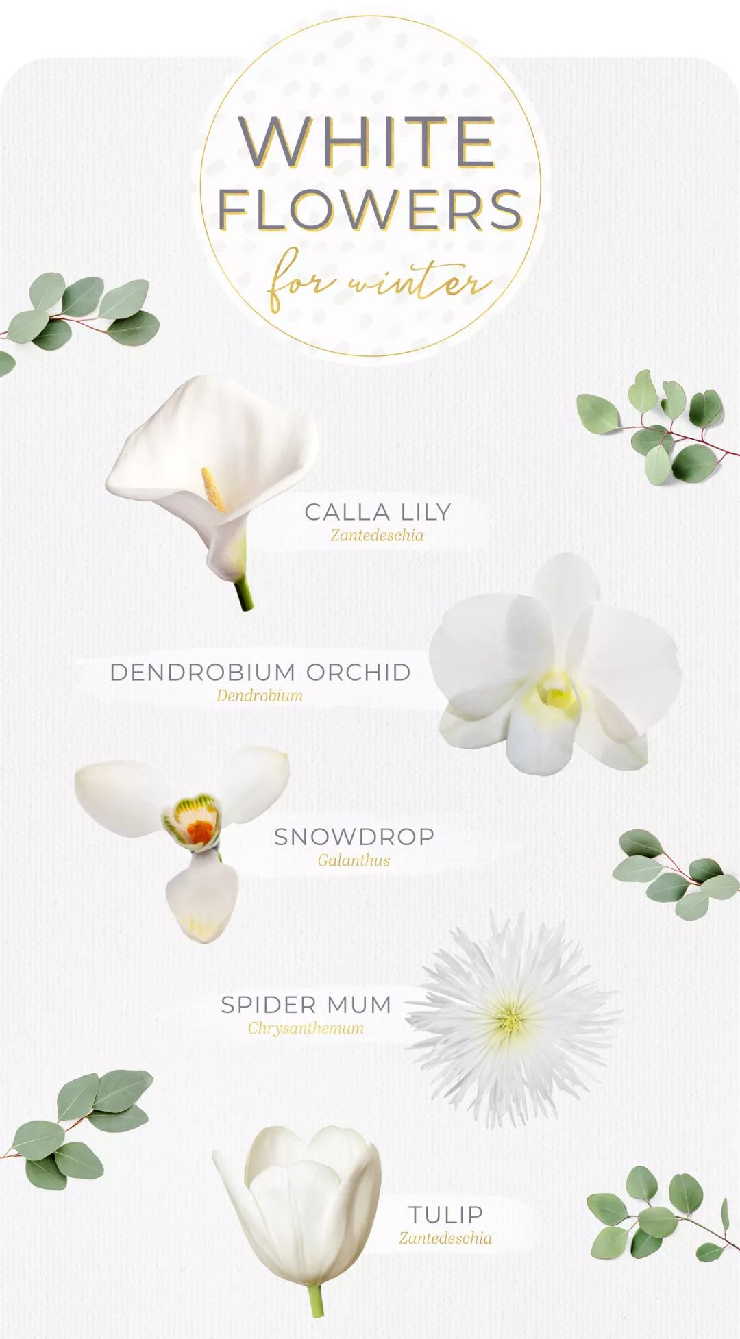 活久见：金大姐跑来给香水带货辣