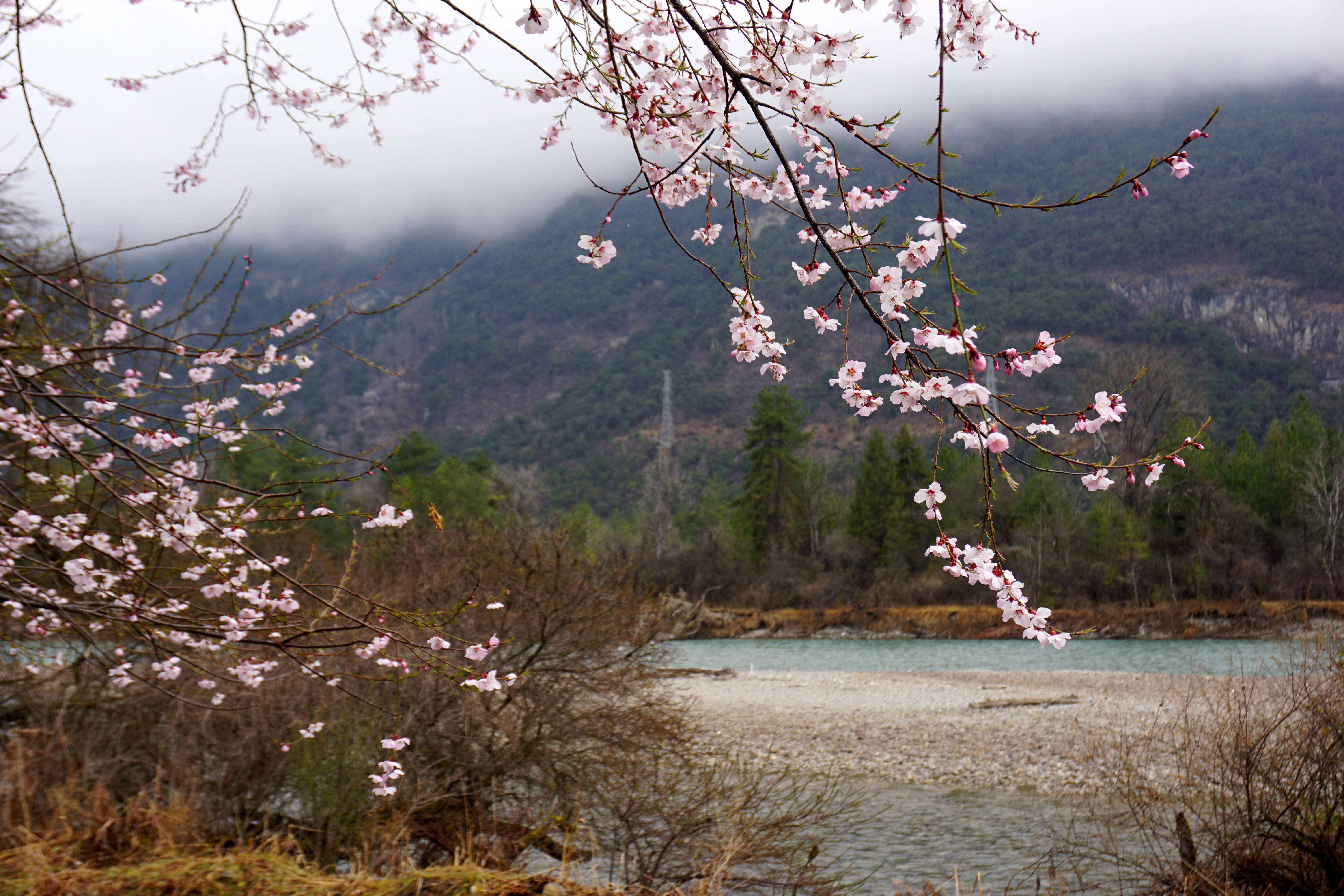 进藏day7试驾,自驾西藏day4