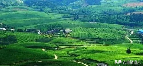 怪不得重庆人都爱来这里避暑,娄山关避暑的重庆人