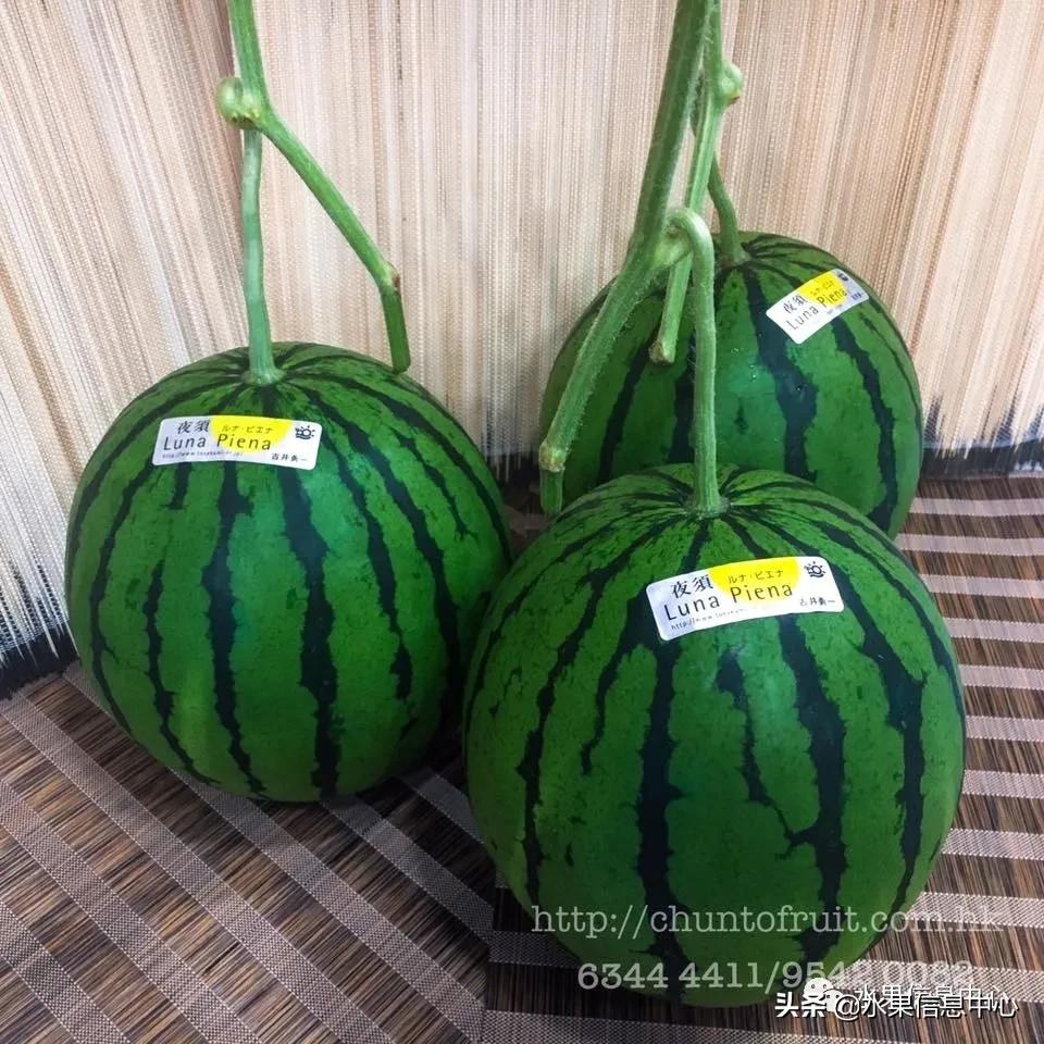 进口水果生意年入千万,批发水果月入百万