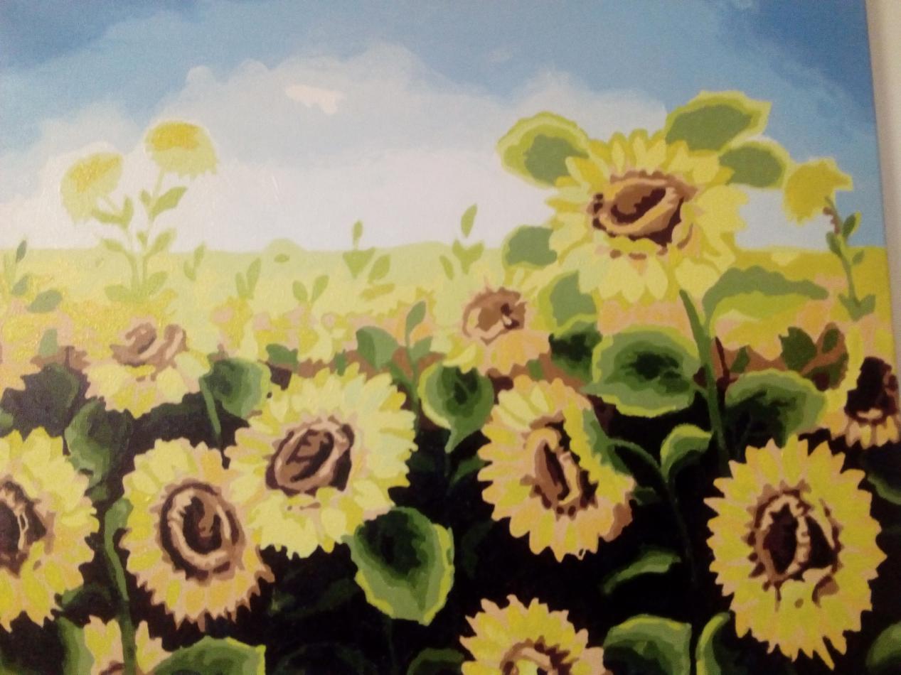 防沉迷后小学生玩的游戏,小格雷学生手机的功能