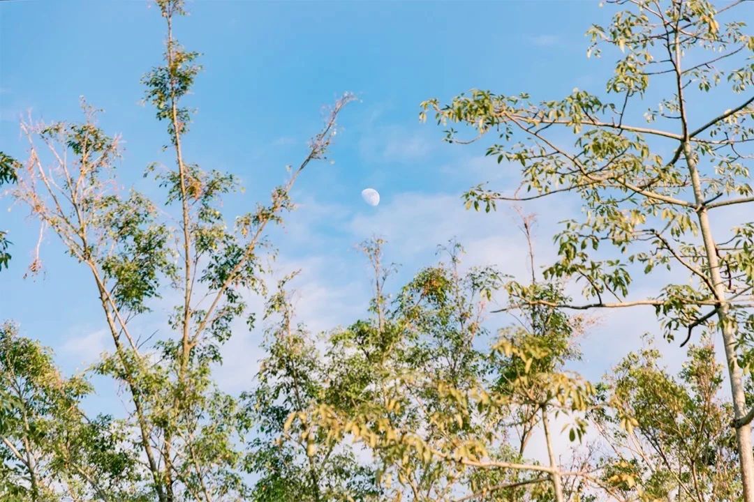 深圳周末浪漫好去处,深圳浪漫约会地点十个景点