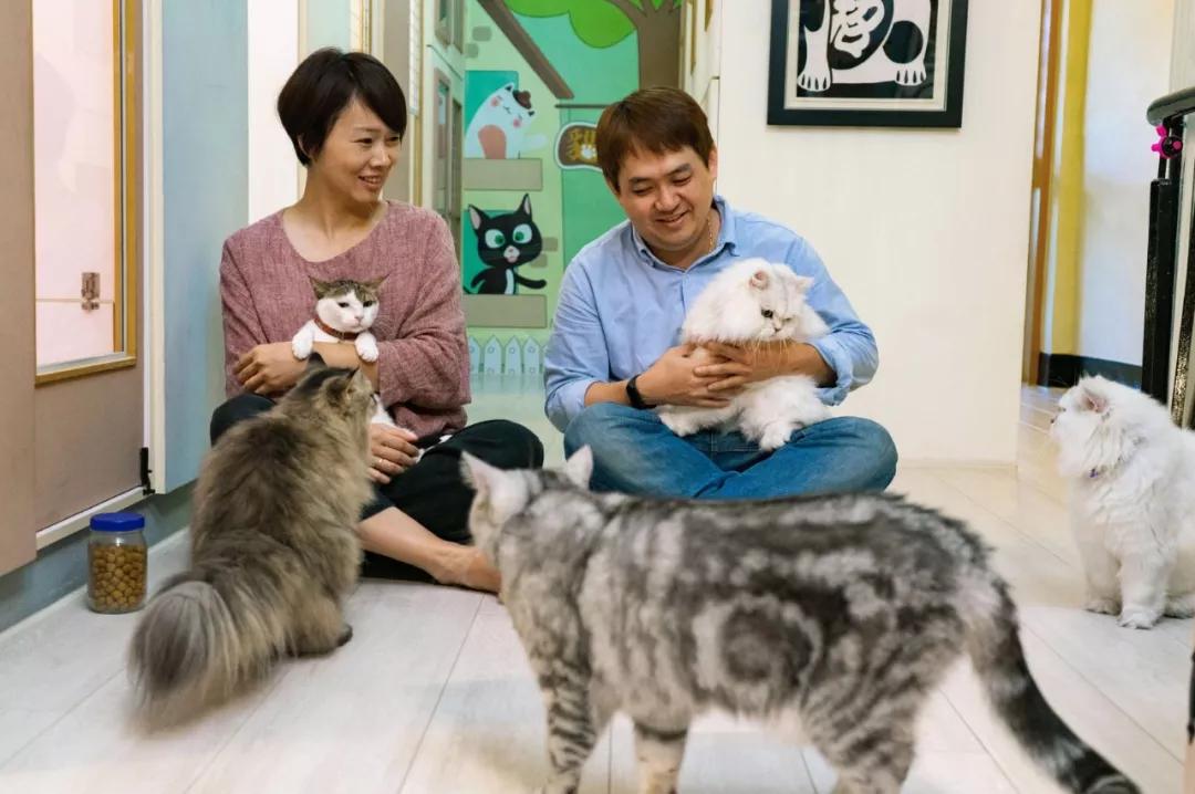 一对夫妻的零浪费生活,自制牙膏洗发水