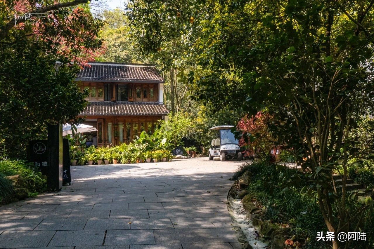 杭州虎跑泉水,杭州虎跑泉旅游攻略