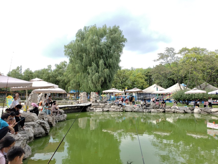 北京适合带娃遛狗的公园推荐,北京适合带娃溜达的公园