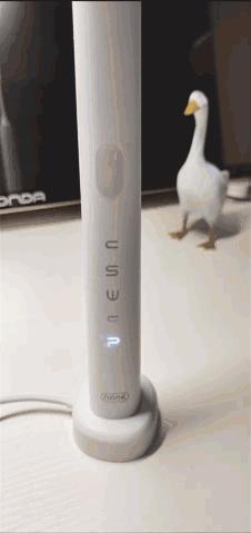 热门声波电动牙刷,磁悬浮声波电动牙刷推荐测评