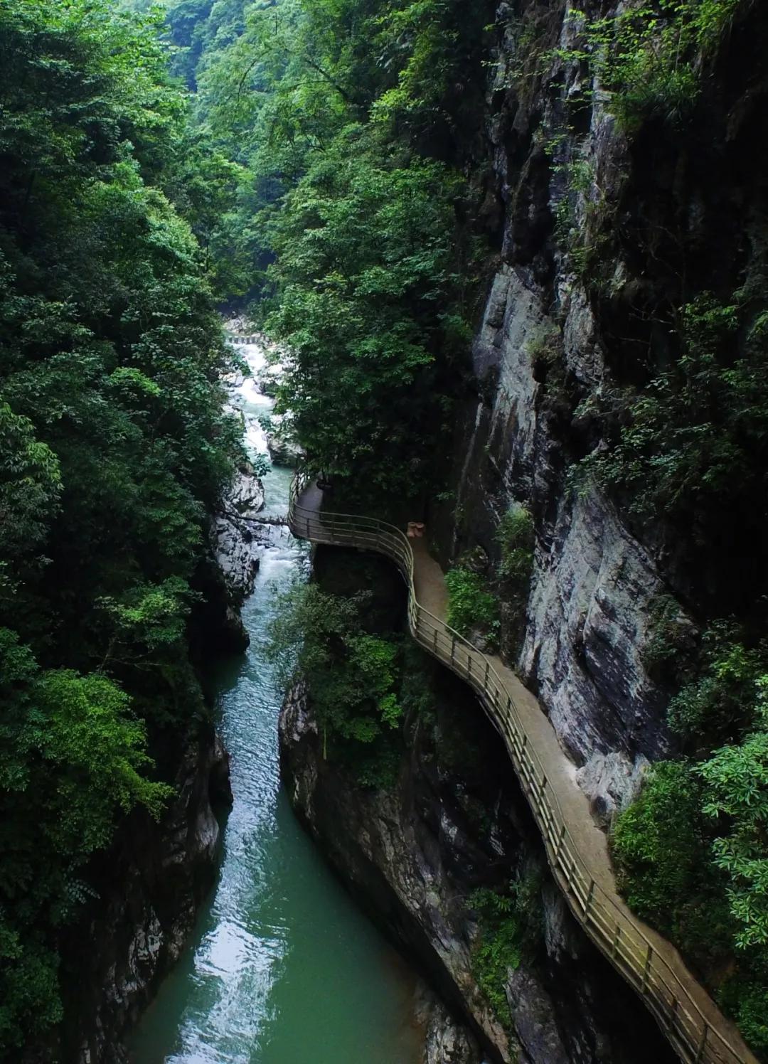 我想对你说董卿演唱,我想对你说傣歌