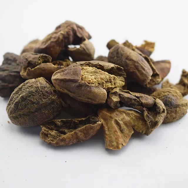 诃子古今中药研究,诃子药效接近的中药