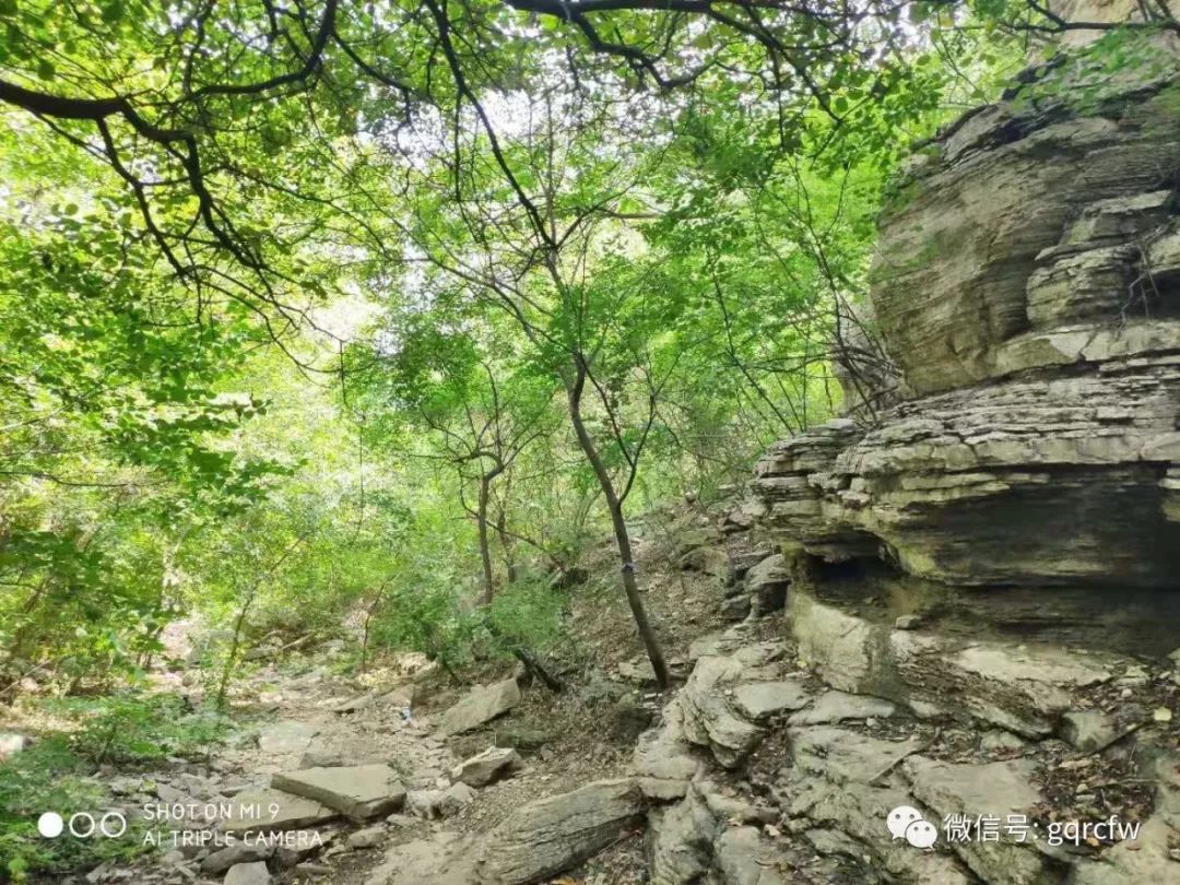 国庆人才需求,国庆人才推介2019