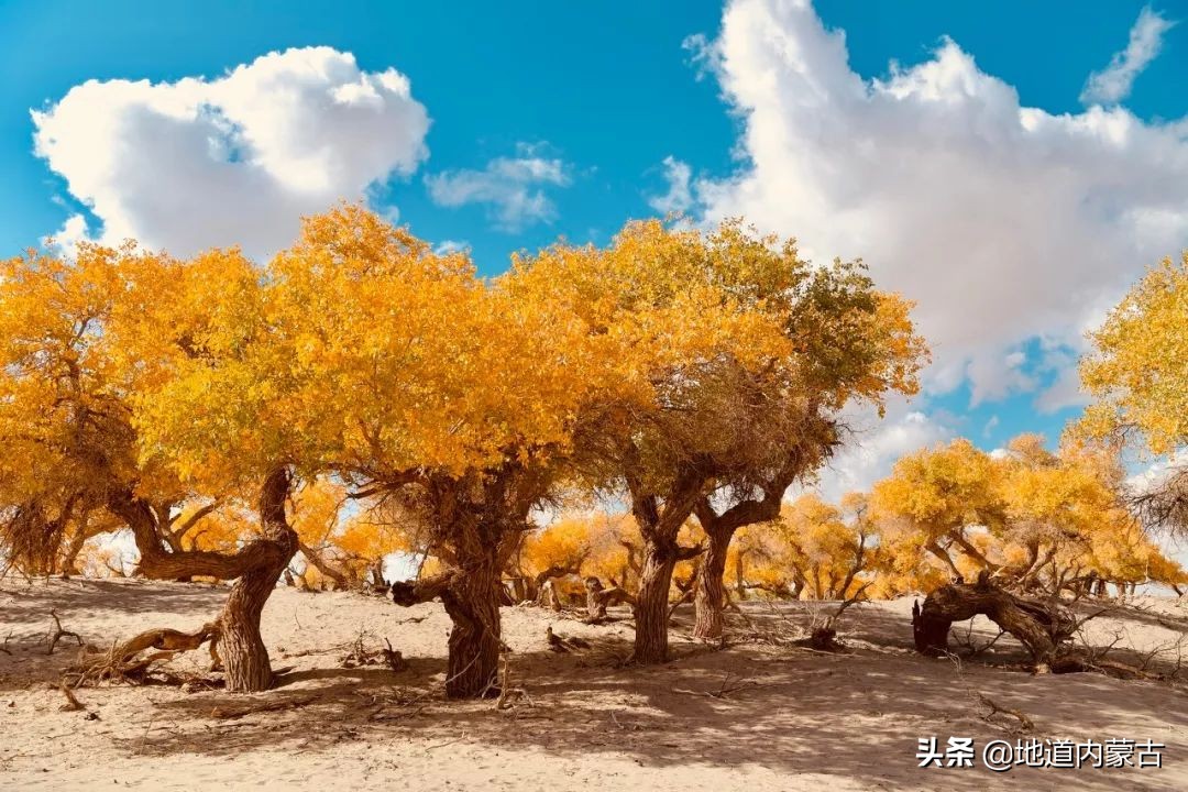 60岁之前要去的十大地方,一生中必去的中国50个最美的地方