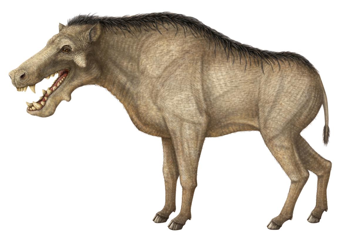 除了恐龙还有哪些已灭绝的生物,史前生物除了恐龙还有什么