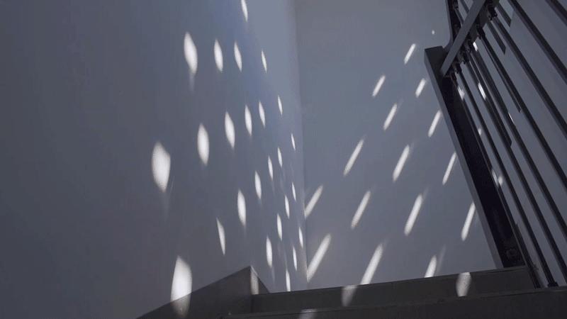 韶关丹霞山一日旅游攻略,去韶关丹霞山旅游攻略