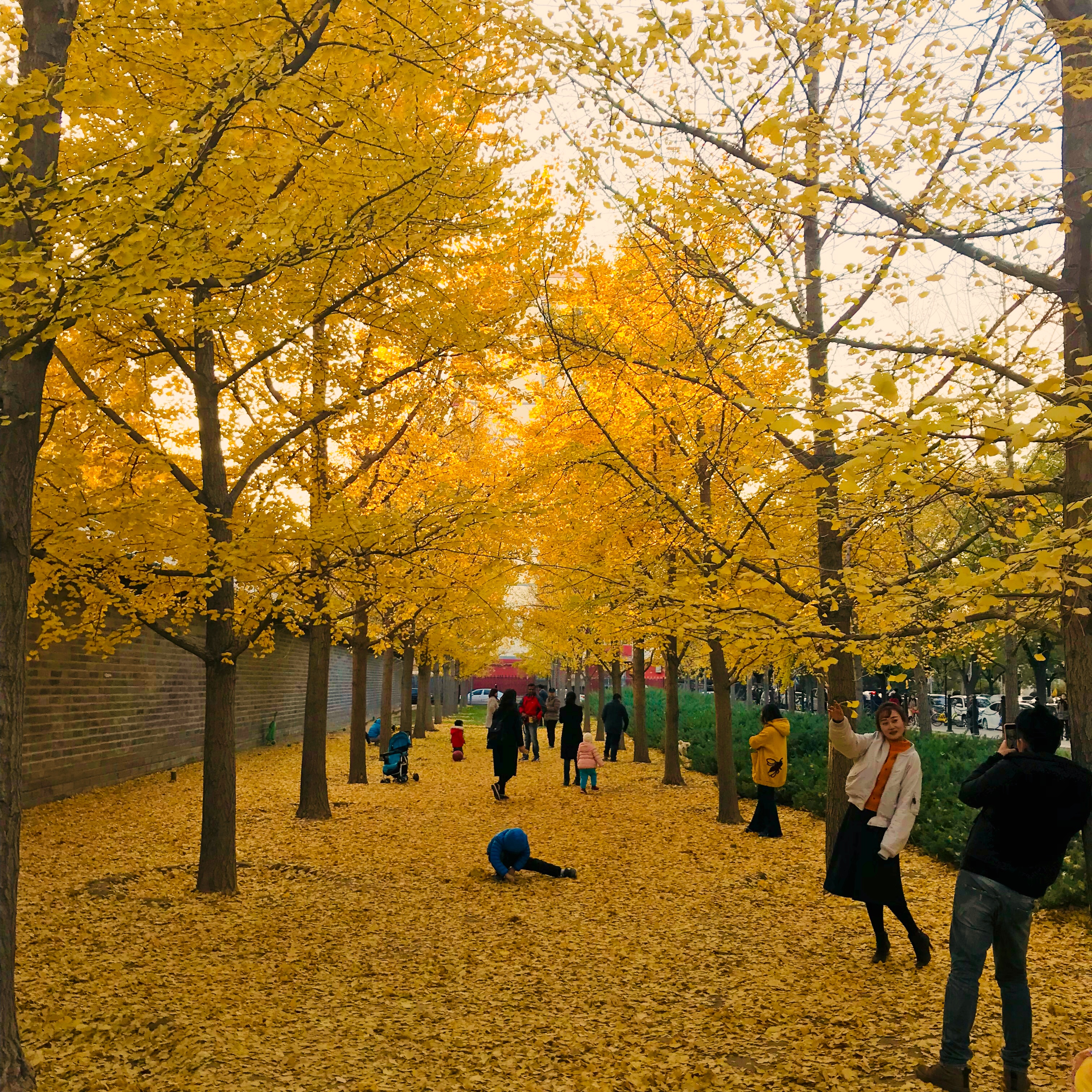 皓哥带你逛南京探店小达人,皓哥带你逛南京