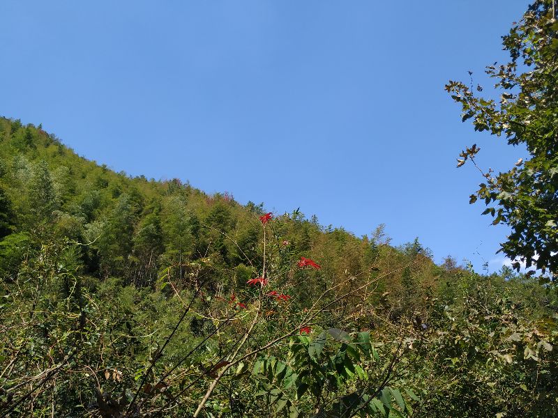 杭州周边徒步最美线路 (杭州最野的徒步路线)