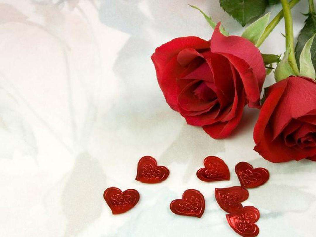 七夕送玫瑰花送什么花合适,七夕情人节应该送什么花