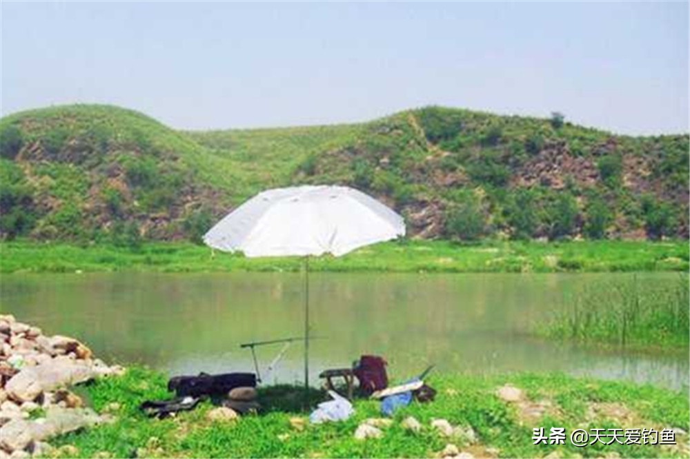 钓鱼技巧:一年中钓鱼最好的几个时机,抓准时机比技巧还重要