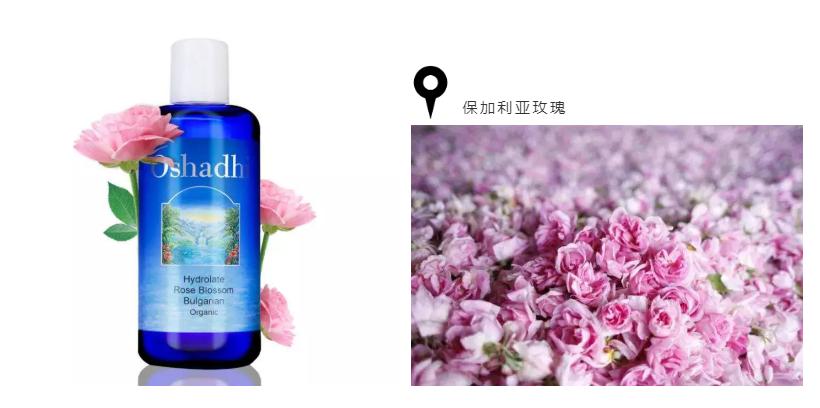 国外大牌小众护肤品有哪些 (欧洲护肤品推荐品牌有哪些)