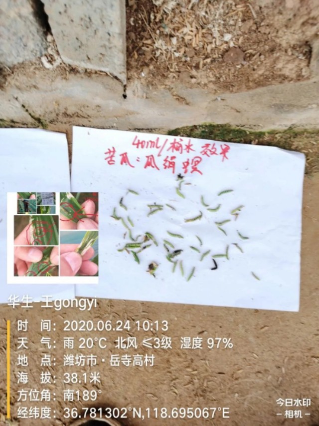 抗性稗草打不死怎么办,抗性超了怎么办