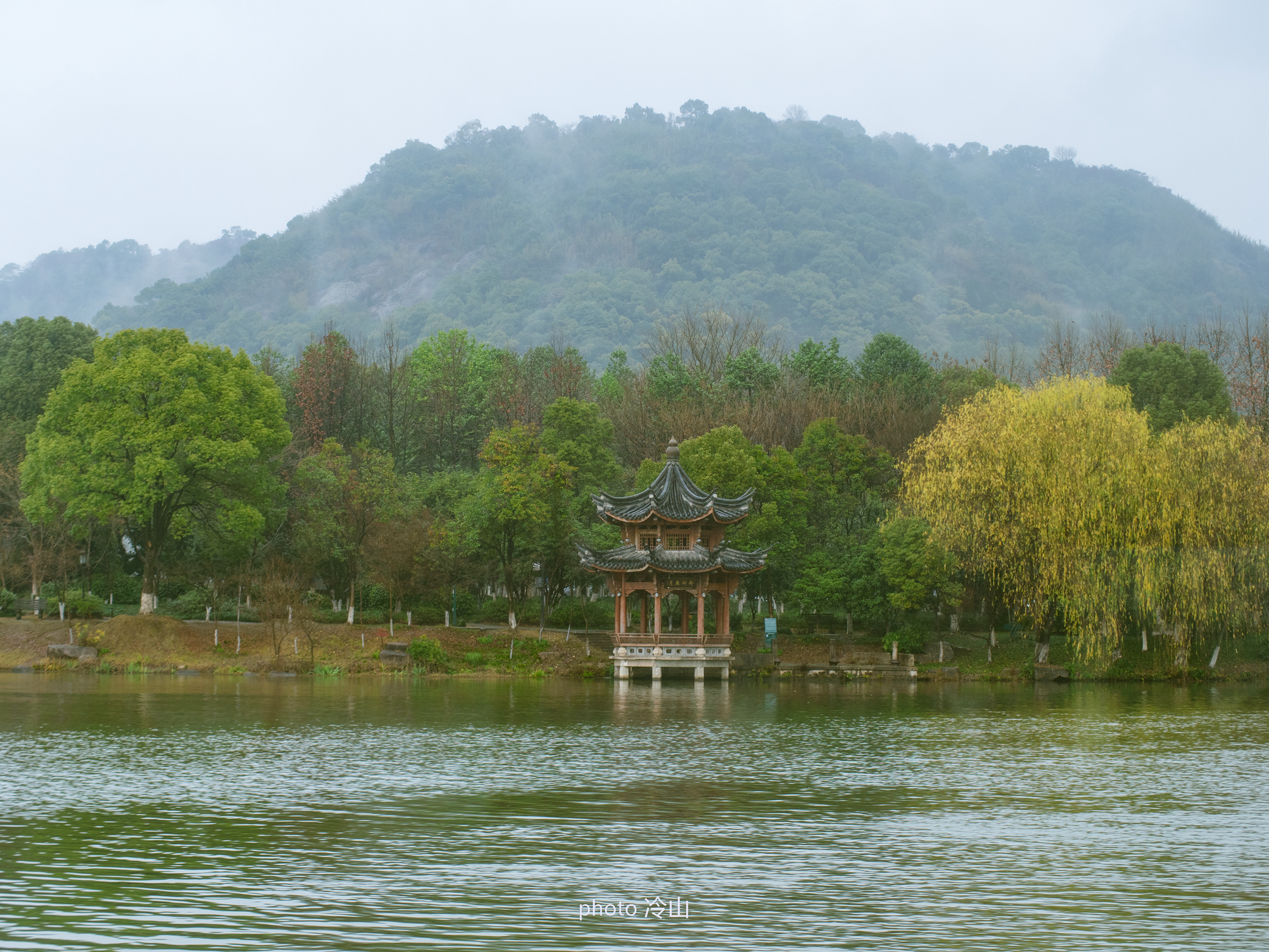 钱塘湖春行杭州,春行江苏鼋头渚赏樱