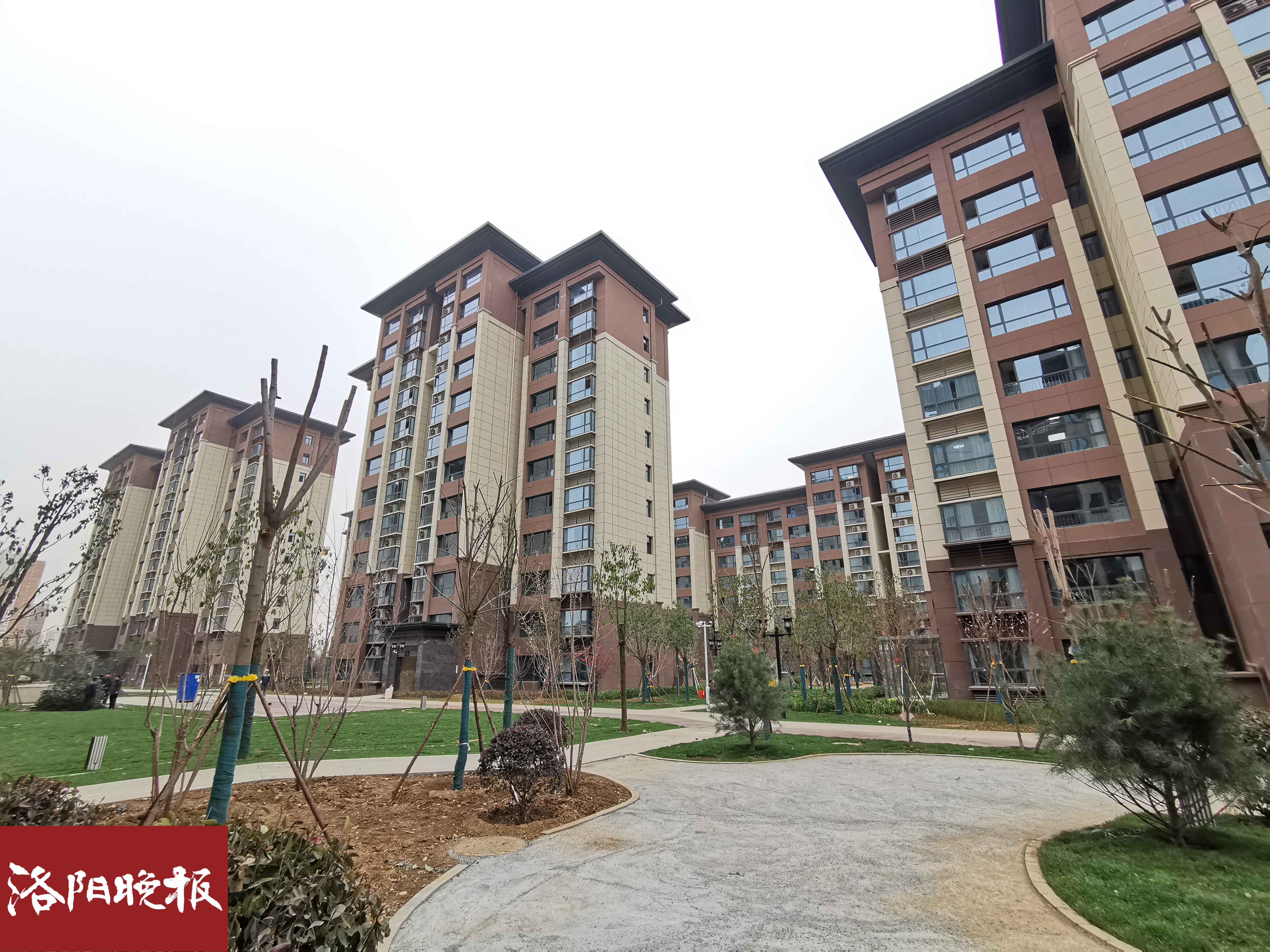 洛阳市青年人才公寓在哪里,洛阳市伊滨区青年人才公寓附近