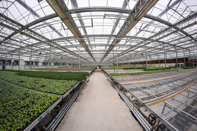 玻璃温室专用铝型材安装教程,铝合金温室大棚建造