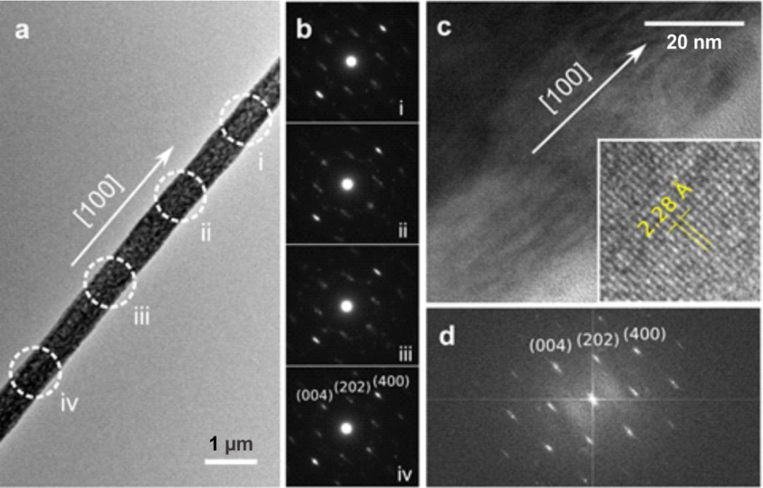advancedmaterials文献免费下载,advancedscience封面图片