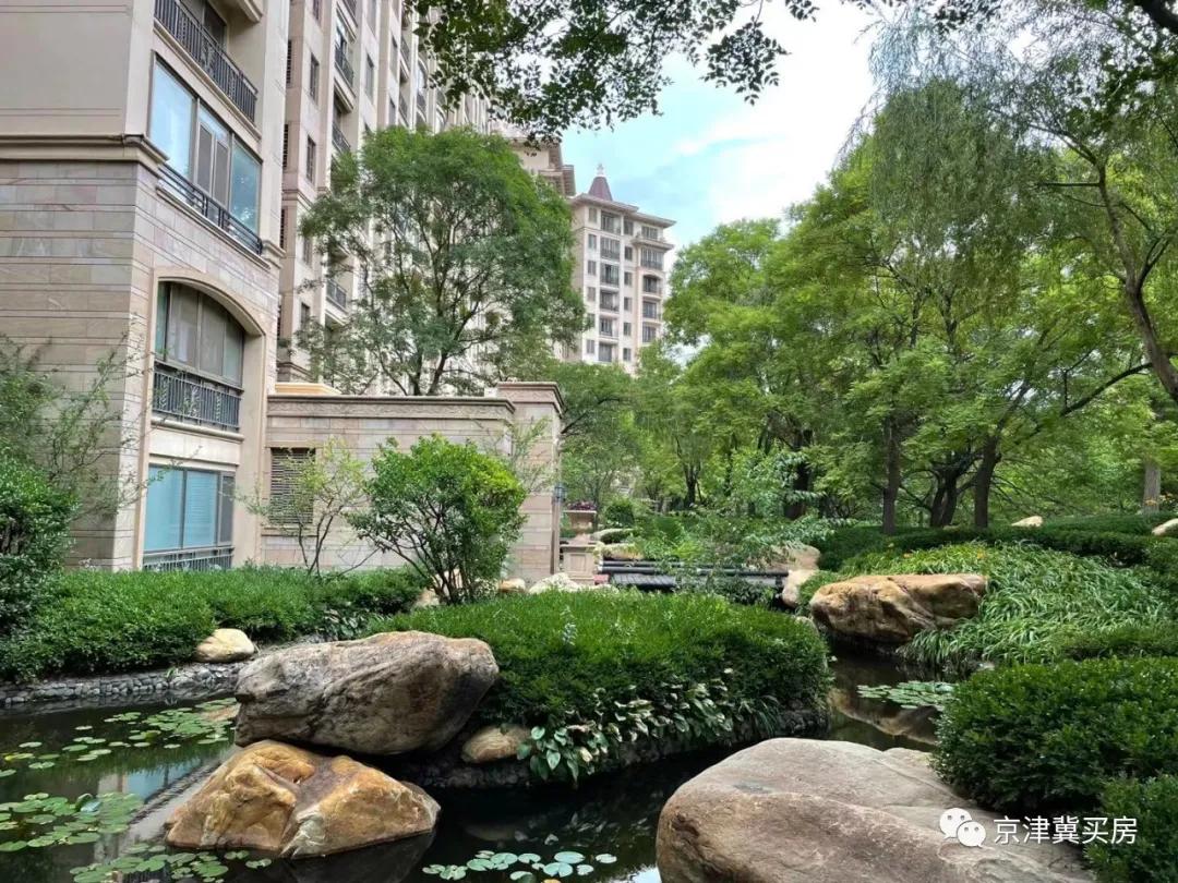 朝青2018年价格,朝青价格走势