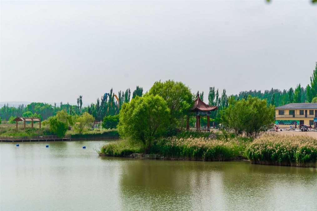 她是滔滔千里黄河的宠儿,阴山之下、河套之上的掌上明珠