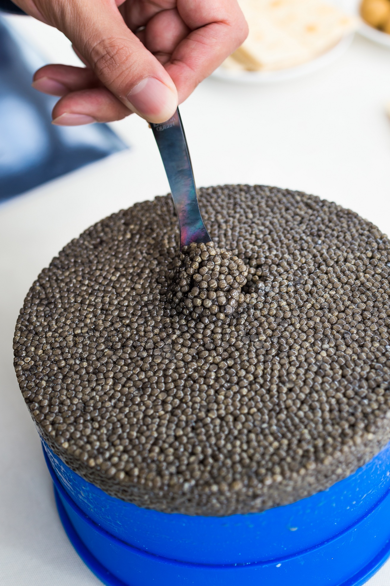 怎么在网上买鱼子酱,中国鱼子酱怎么选