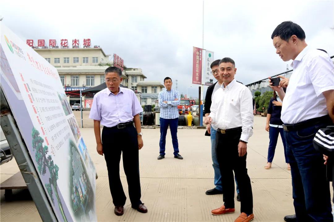 宿迁市沭阳县沭阳国际花木城,沭阳国际花木城布局