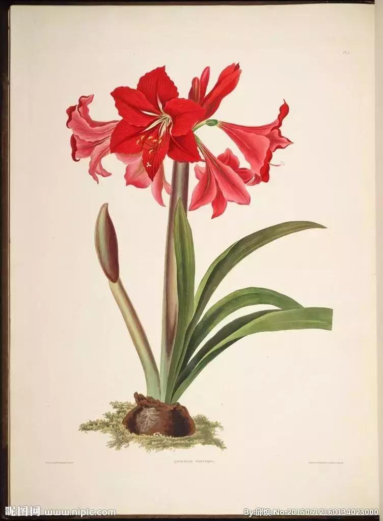 有趣的记字儿歌,形近字识字儿歌大全100首