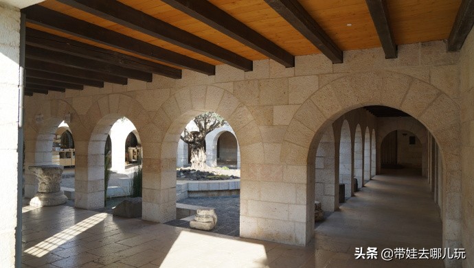 以色列约旦繁星之旅,约旦以色列之旅