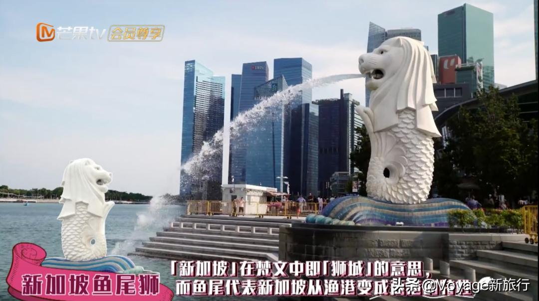 周游记新加坡餐厅,新加坡周游记有多香