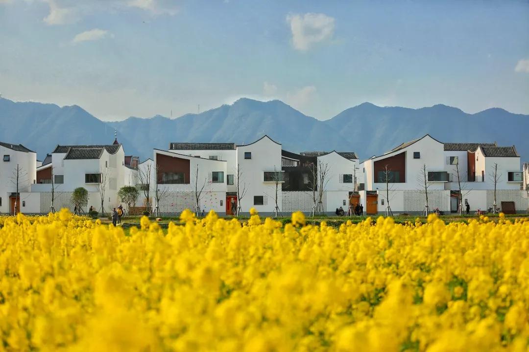 356315个赞！“最江南·杭州味”杭州文旅“新十大”名单正式公布