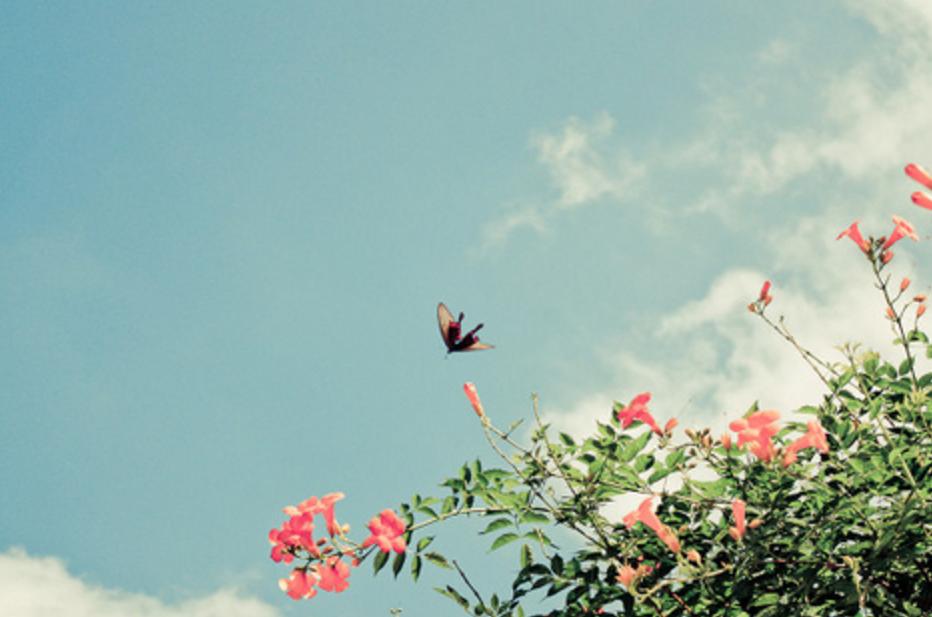 跟双子不对付的星座,跟双子座只暧昧不谈恋爱会怎么样