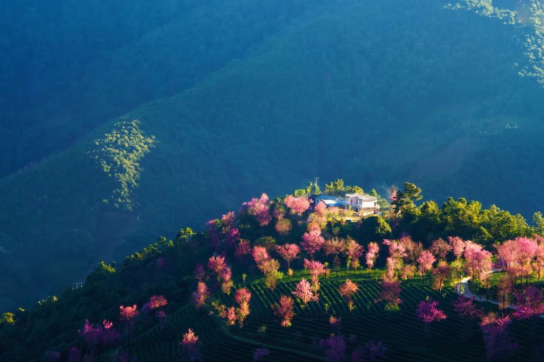 12月想要什么,12月的冬日暖阳岁月如此静好