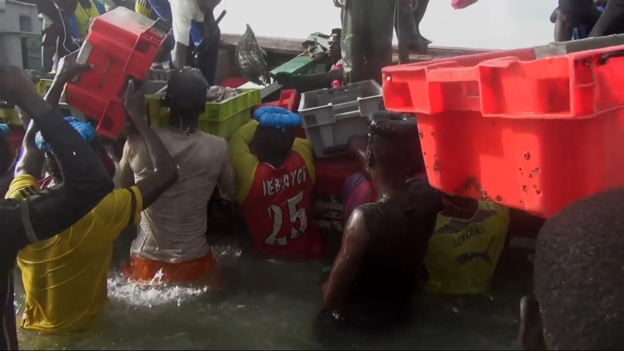 非洲小哥淘来法国二手车开出租，280公里只要47元，但要开12小时