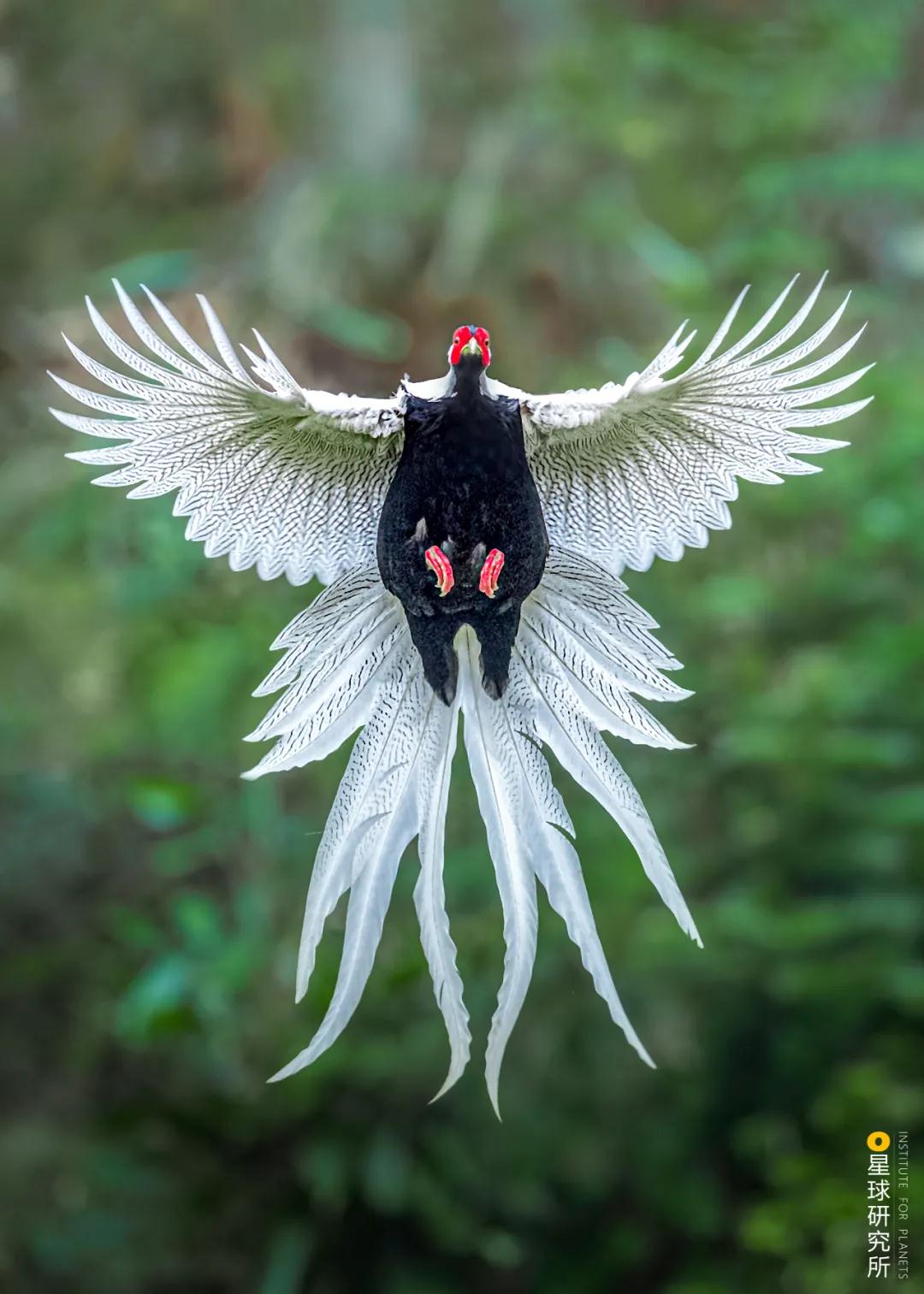 林草领域知识图谱,林草科普专业术语