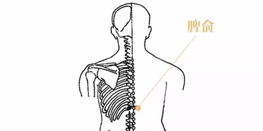 每天三分钟教你胃痛胃酸的小方法,胃酸过多引起的胃痛中医怎么治疗